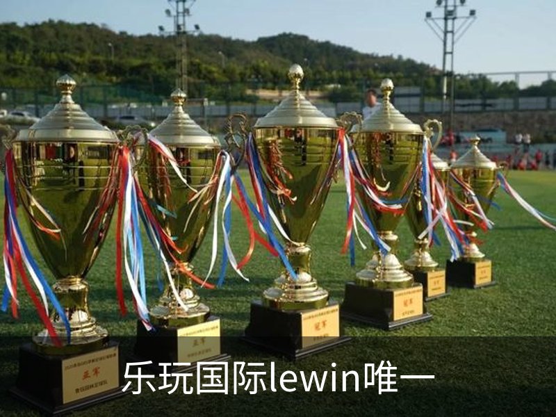 乐玩国际lewin唯一品牌故事